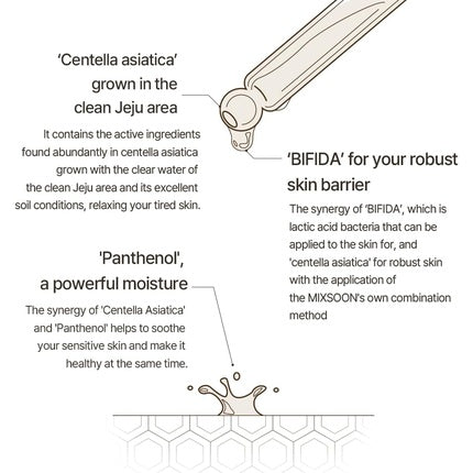 Mixsoon Master Serum Moisturizing Serum for Healthy Skin