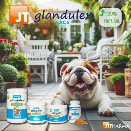 Jtpharma Glandulex Sacs 120 Croquettes