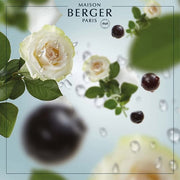 Lampe Berger Anti-Moustique Vent D'Océan Room Fragrance, Plastic, Transparent, 7.5