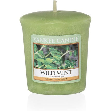 Yankee Candle Wild Mint Votive Candle, Wax, Green, 4.7 X 4.5 X 5 Cm