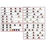 Salerm 8.6 Reddish Light Blond