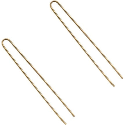 Eurostil 20 Hairpins, Black, Unique, Standard Estandar One Color