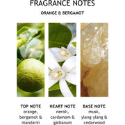 Molton Brown Orange And Bergamot Hand Lotion 300ml