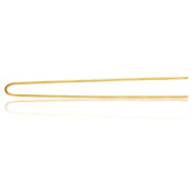Xanitaliapro Record Tecno Hairpins Smooth Blonde 7 Cm Box 250g