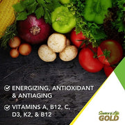 Natures Plus Source of Life Gold Multi-vitamin 90 Tablets