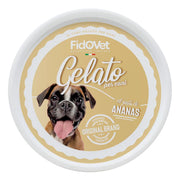 Fidovet Gelato Pineapple 40 Grams