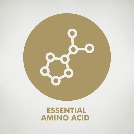 Solgar L-Lysine 1000mg Tablets Support For an Active Lifestyle 50 Tablets