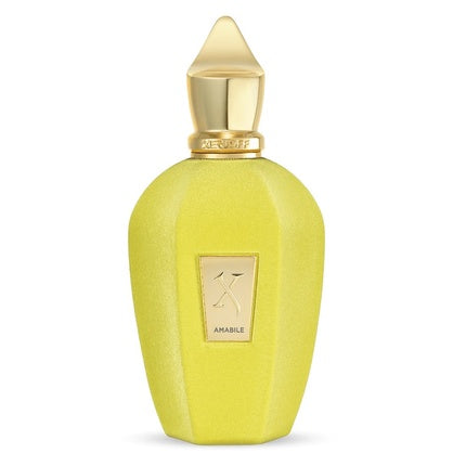 Xerjoff V Amabile Eau De Parfum Spray 100ml