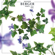 Maison Berger Paris Institutional Collection Home Fragrance, Plastic, White, 400
