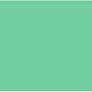 Maybelline Color Show Nail Polish Faux Green