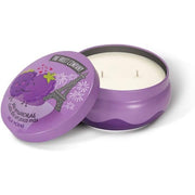 Fruit Company Home Candles & Scents Scented Candles 200g - 1 Pack