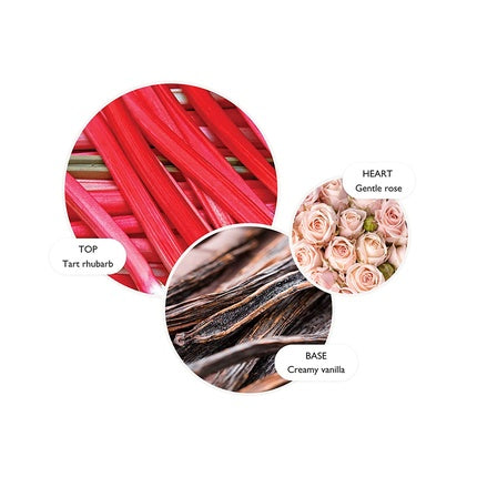 Molton Brown Delicious Rhubarb & Rose Hand Lotion 300ml