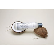 Eden Bodyworks Coconut Shea Moisturizing Shampoo