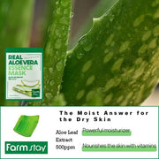 FARMSTAY Real Essence Mask Aloe Vera 10 Sheets