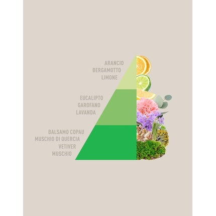 Horomia Concentrated Natural Laundry Perfume for Washing Machine and Dryer