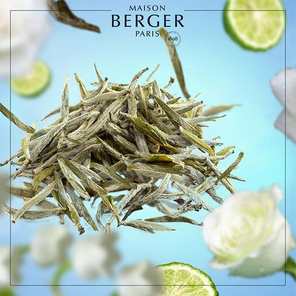 Lampe Berger Room Fragrance Refill Pack Thé Blanc Pureté / Aromatic White Tea 1