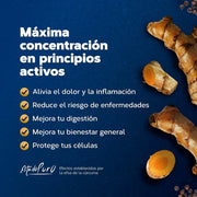 Tongil State Pure Turmeric 10,000mg 40 Capsules