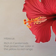 L'Anza Healing Colorcare Colour Preserving Trauma Treatment 1000ml