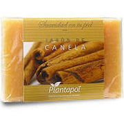 Planta Pol Jabon Canela 100G