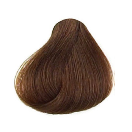 Lakme Gloss 7/00 Medium Blonde Color Rinse 2.1oz 60ml