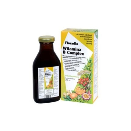 Herb-Piast Floradix Vitamin B-Complex 250ml