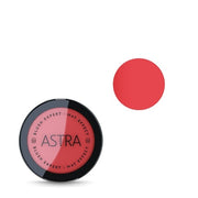 Blush Expert Mat Effect 05 Nude Coral