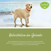 Sanct Bernhard Green-Lipped Mussel Dog Capsules