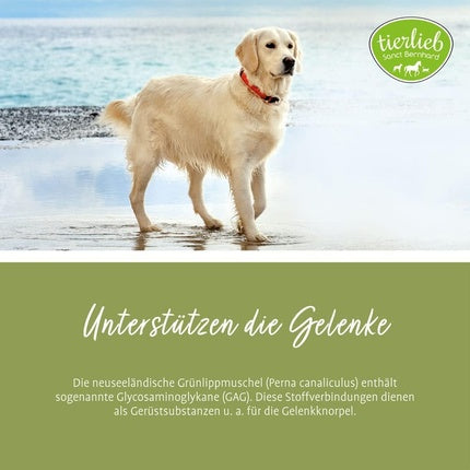 Sanct Bernhard Green-Lipped Mussel Dog Capsules