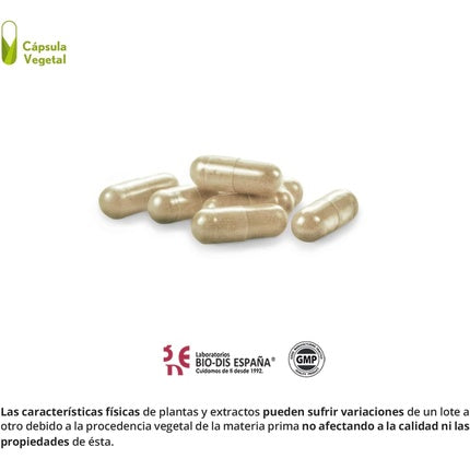 Nature Essential Moringa Oleifera Complex 4000mg 60 Capsules