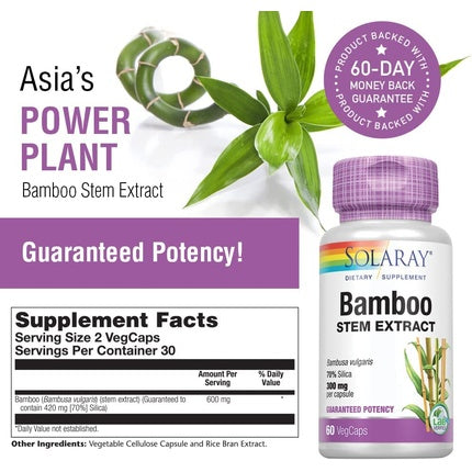 SOLARAY Bamboo Stem Extract 600mg Healthy Hair Skin Nails Bones & Connective Tissue Support 60 VegCaps