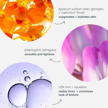 Dermalogica Phyto Nature Oxygen Cream 50ml - Firms, Lifts & Plumps Lightweight Daily Moisturizer Revitalizes Aging Skin Hydrates & Energizes for a Youthful Glow All Skin Types