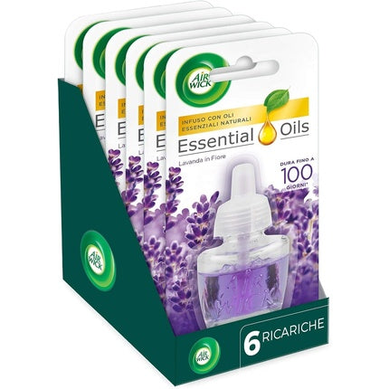 Air Wick Electric Diffuser Refill Lavender in Bloom