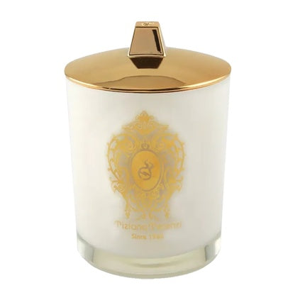 Tiziana Terenzi Delox Candle 170g