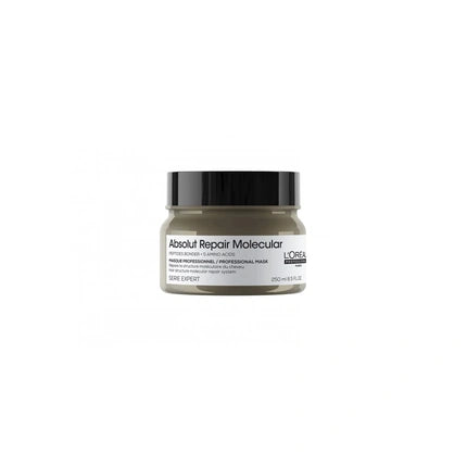 L'Oral Professionnel Absolut Repair Molecular Professional Mask 250ml