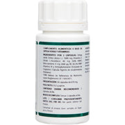 Holophyte Ortiga Groen