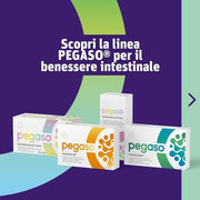 Pegaso AXIBOULARDI 60 Capsules - Dietary Supplement with Saccharomyces boulardii - Daily Dose of 2 Capsules 12 Billion CFU with Vitamin B6 2mg