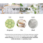 Ashleigh & Burwood White Tea Reed Diffuser Gift Set Luxury Collection