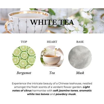 Ashleigh & Burwood White Tea Reed Diffuser Gift Set Luxury Collection