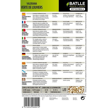 Batlle Aromatic Seeds Valerian Canons Verte Louviers 15cm