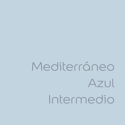 Bruguer M112007 – Painting Plastica Colors Of The World Mediterranean Steel